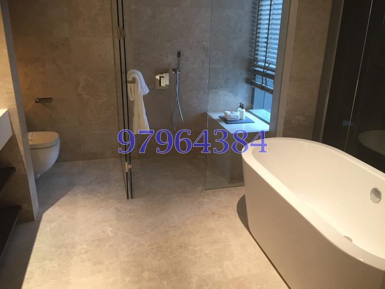 Leedon Residence (D10), Condominium #104331972